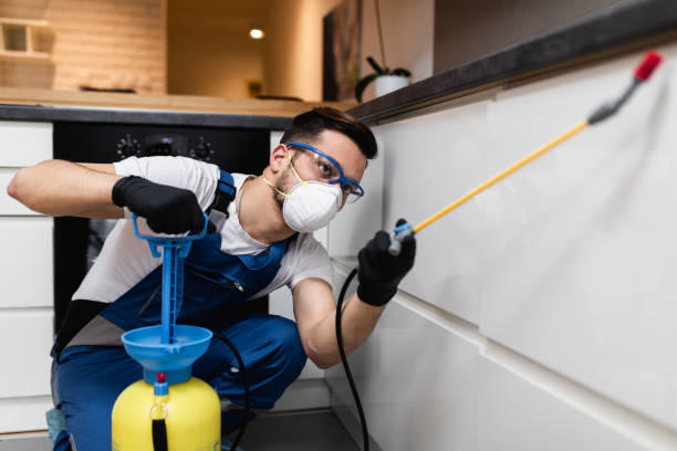 Best Bed Bug Extermination  in Hollywood, FL