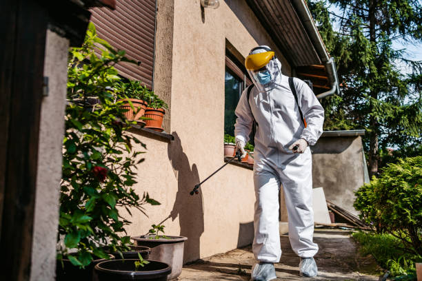 Best Affordable Pest Control Services  in Hollywood, FL