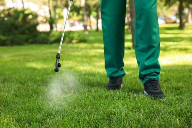 Best Mosquito Control Services  in Hollywood, FL