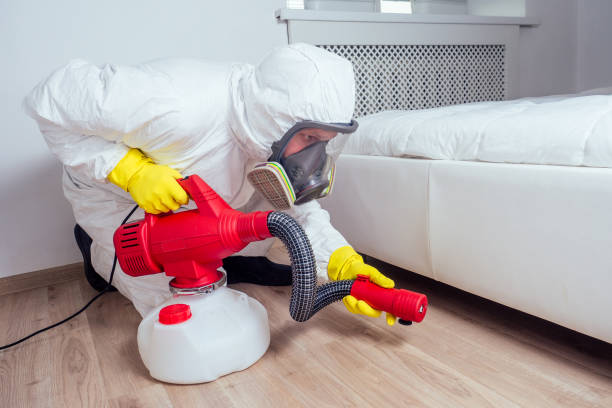 Best Cockroach Control Services  in Hollywood, FL