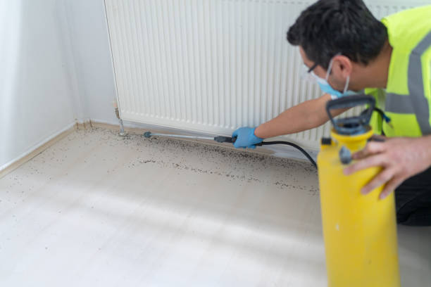 Best Pest Prevention Services  in Hollywood, FL